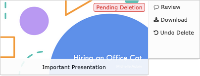 A file attachment titled Important Presentation with a label in the top right corner of its thumbnail stating that it is pending deletion. There is a menu of buttons beside the thumbnail, with options for reviewing, downloading, and undoing the delete.