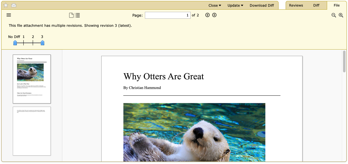 Screenshot of a PDF document being reviewed